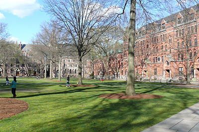 Yale University Old Campus © Ad Meskens/Wikimedia Commons/CC