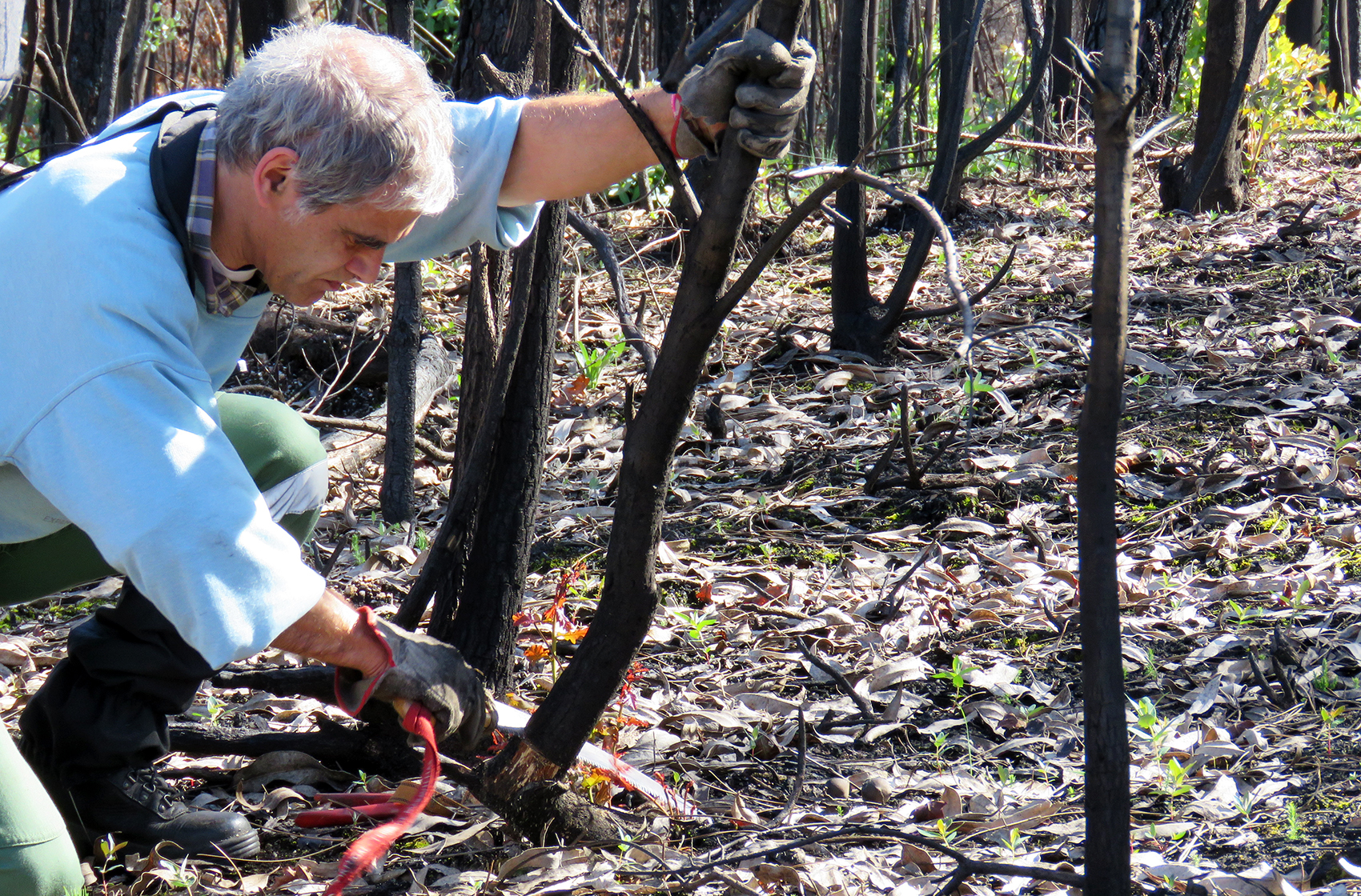 Armando Carvalho, garde forestier, a perdu ses forêts dans les immenses incendies qui ont décimé le Portugal. © People's climate case
