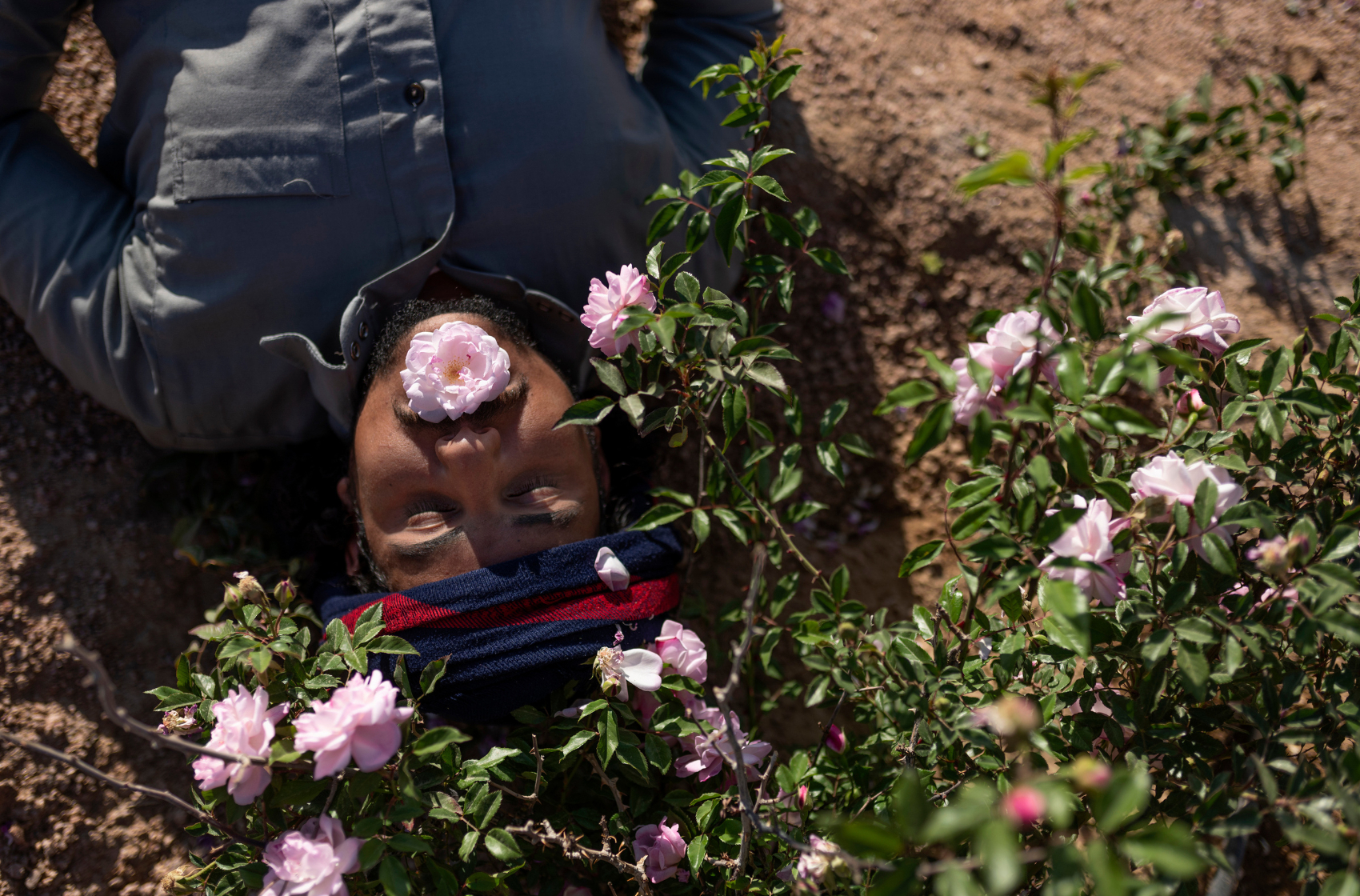 Moussa Algebaly, 25 ans, de la tribu Jebeleya, est allongé sous un théier après avoir pris soin de son jardin à Al Tarfa, dans le sud du Sinaï. Égypte, avril 2020.
© Rehab Eldalil