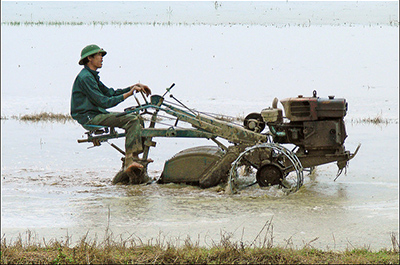 Labourage des rizières dans le delta du fleuve rouge ©Jean-Pierre Dalbéra / Flickr
